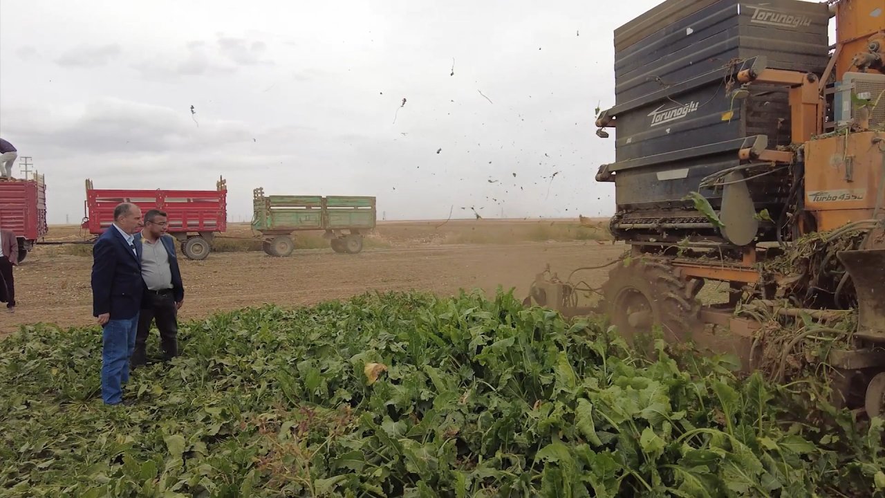Çumra'da hasat zamanı! Başkan Aydın, çiftçilerle buluştu!