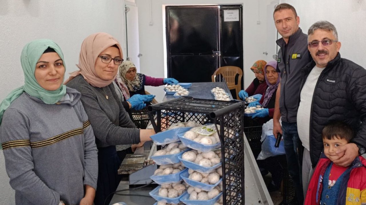 Akören’de mantar üreticilerine teknik destek ve hijyen eğitimi