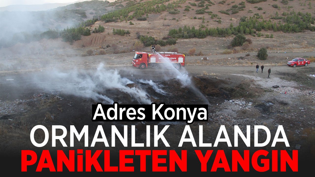 Konya'da ormanlık alanda panikleten yangın