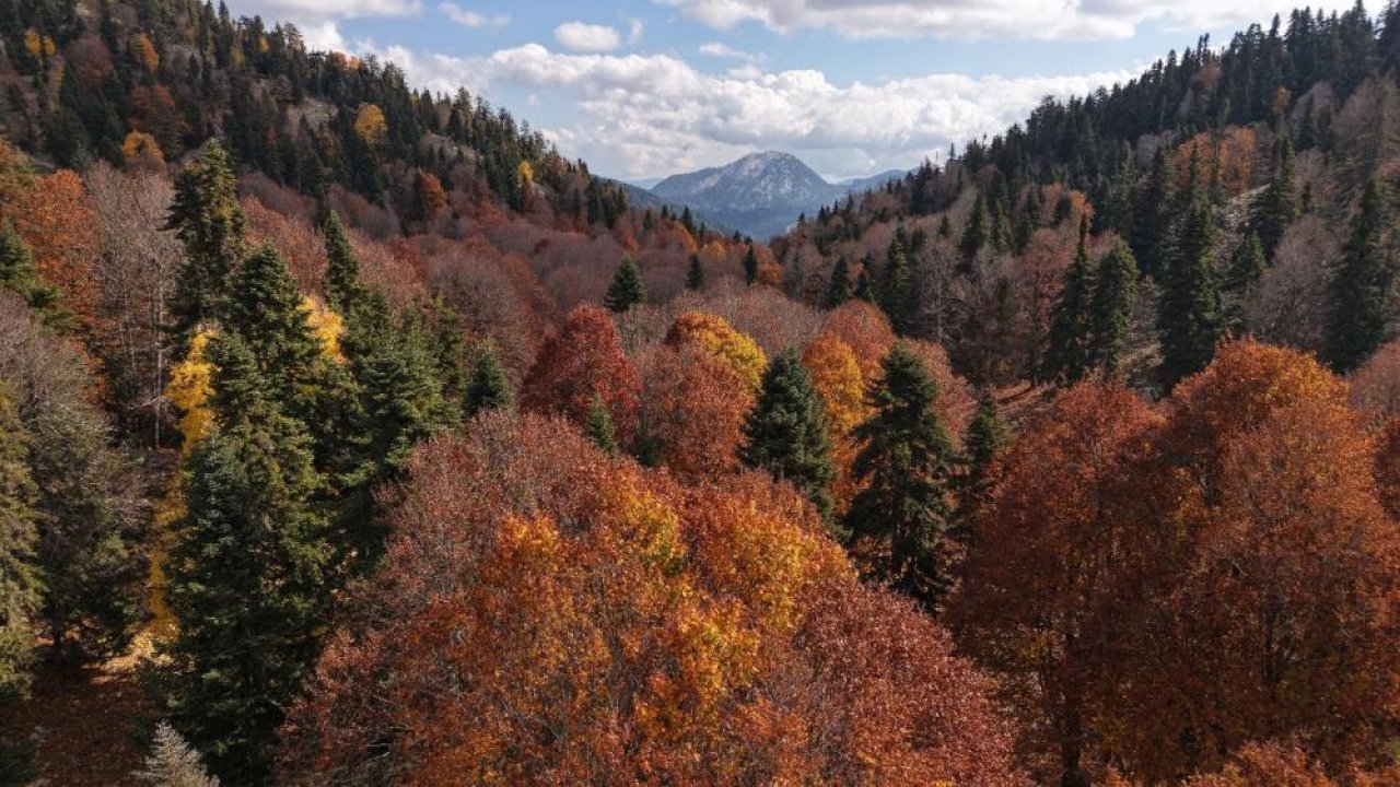 Adana'da sonbahar bir başka güzel