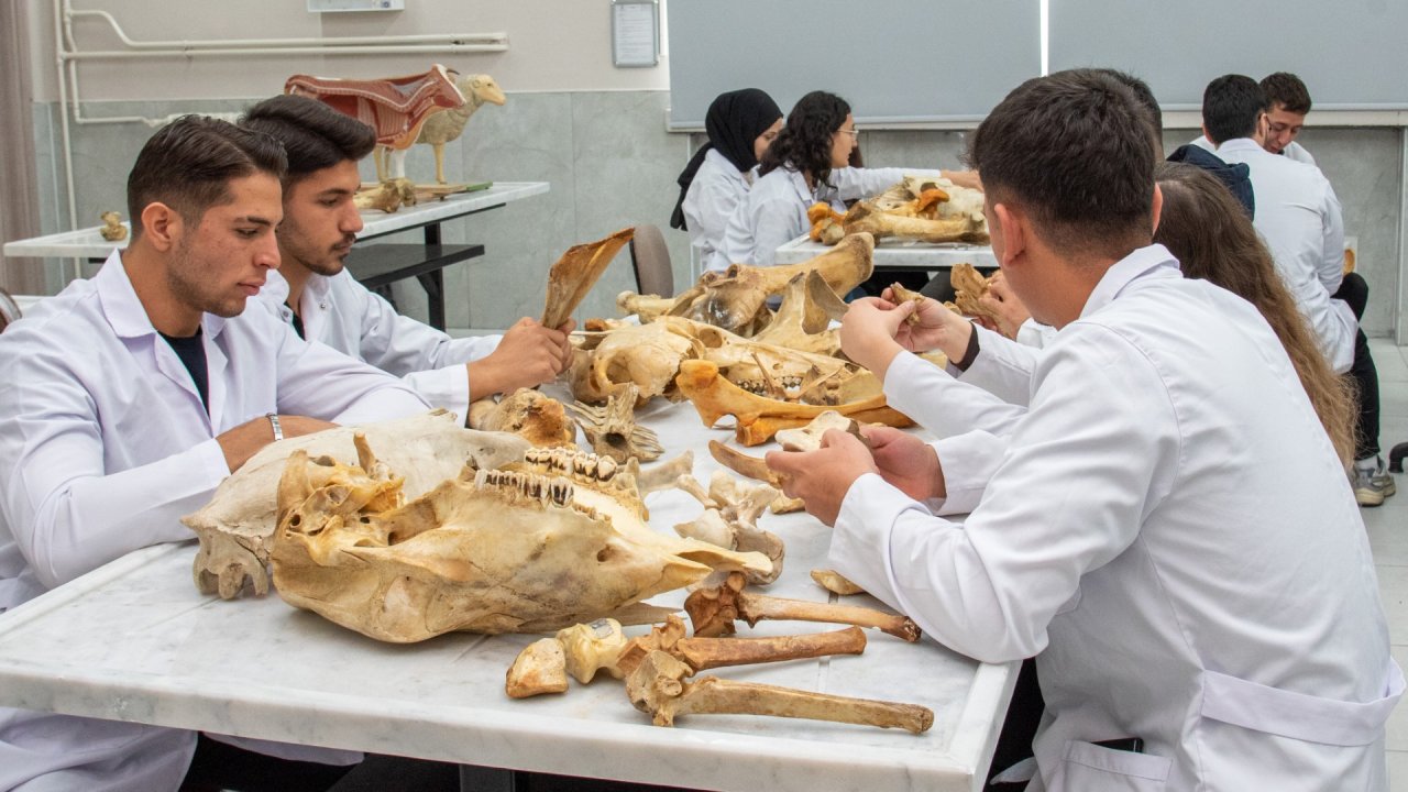 SÜ Veterinerlik Fakültesi'nde öğretim kalitesi güçlendirildi