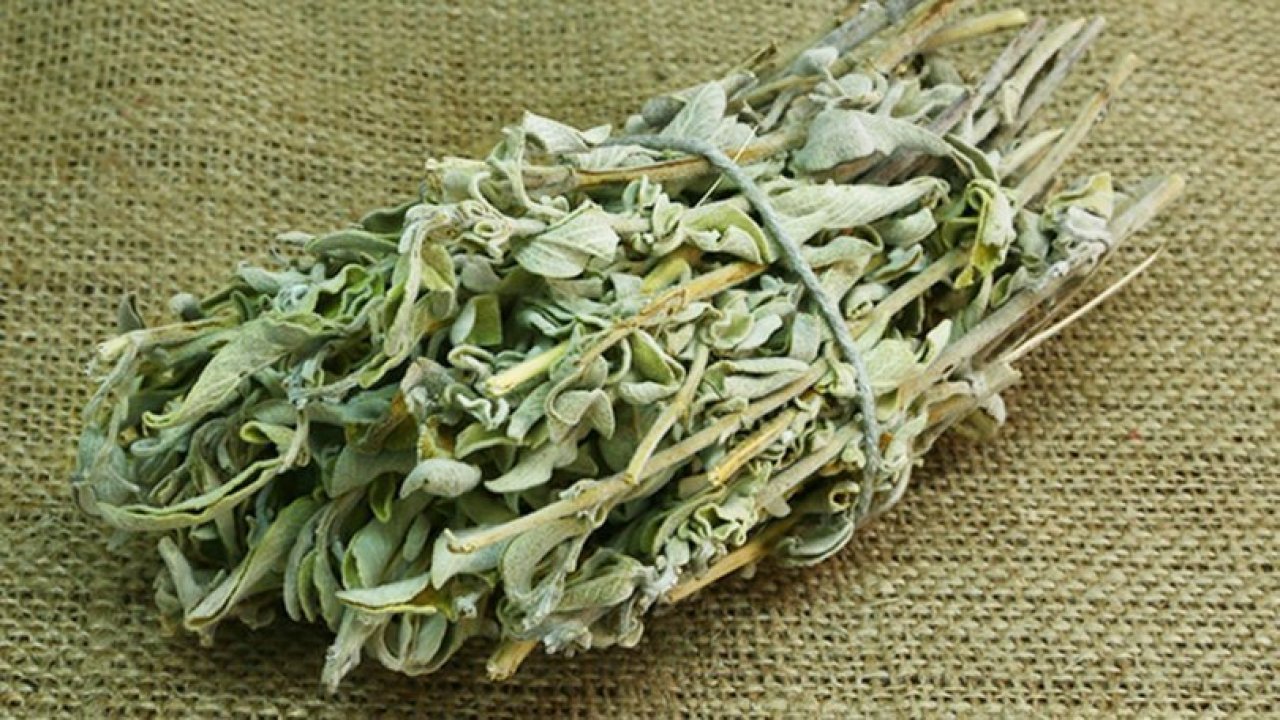 Kekik ve adaçayı: Kış aylarının doğal koruyucusu!