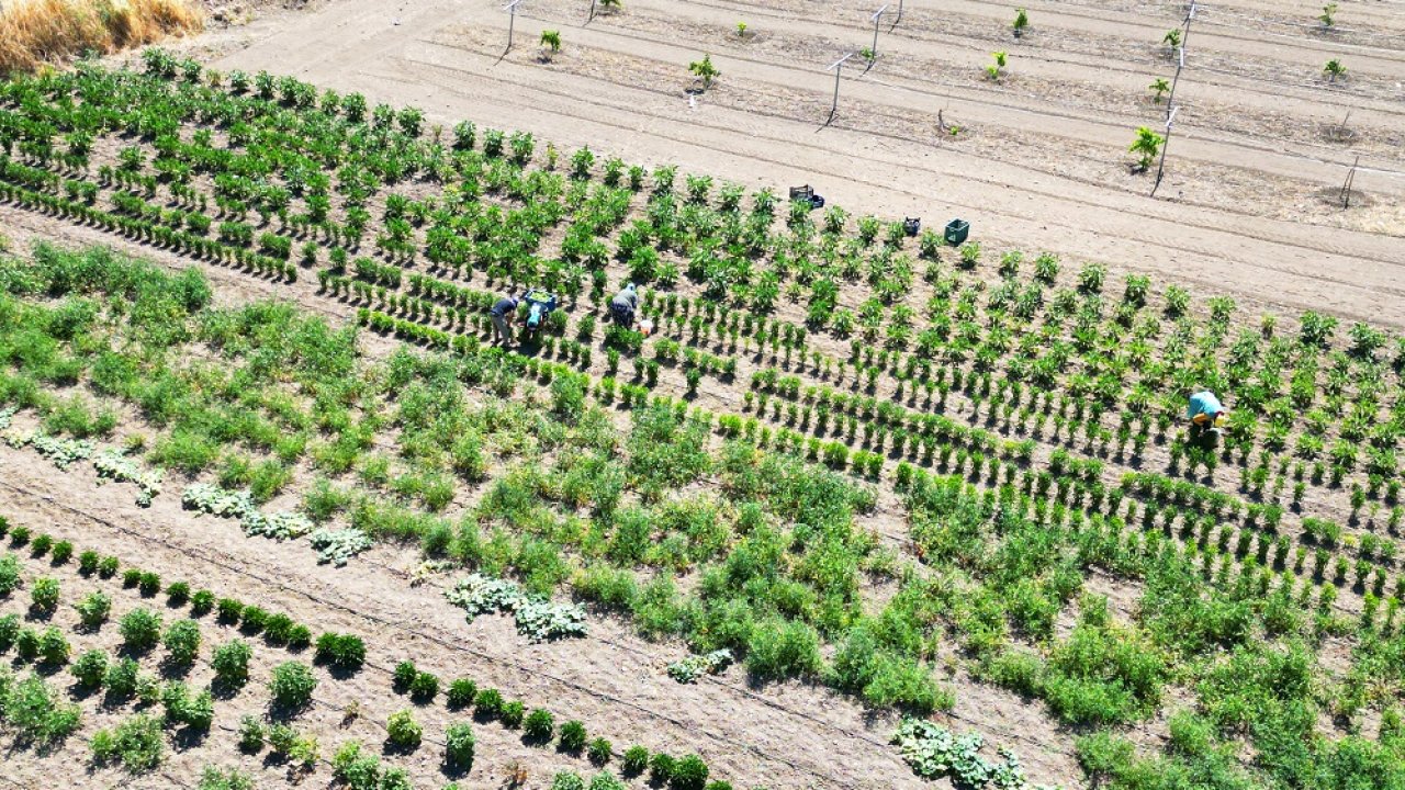 Eti Alüminyum’dan Türkiye’nin ağaç varlığına 37 bin 900 fidanlık katkı