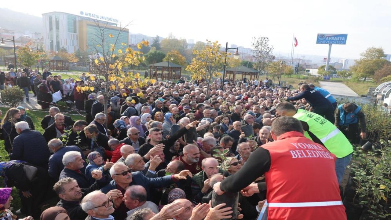 Fidan almak için birbirleriyle yarıştılar!