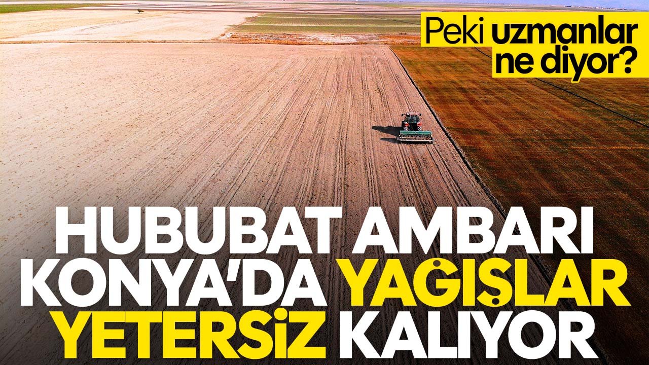 Hububat ambarı Konya'da yağışlar yetersiz: Çiftçinin beklentisi sürüyor