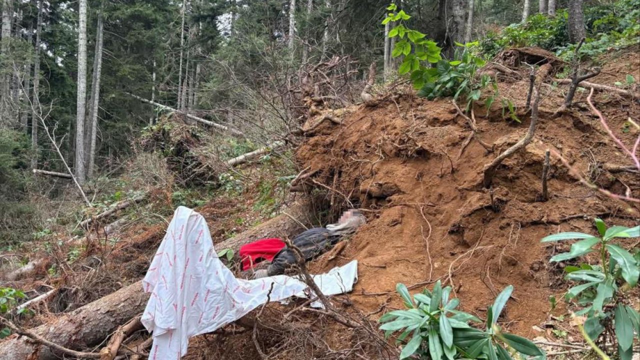 Kestiği ağacın altında kaldı: Hayatını kaybetti