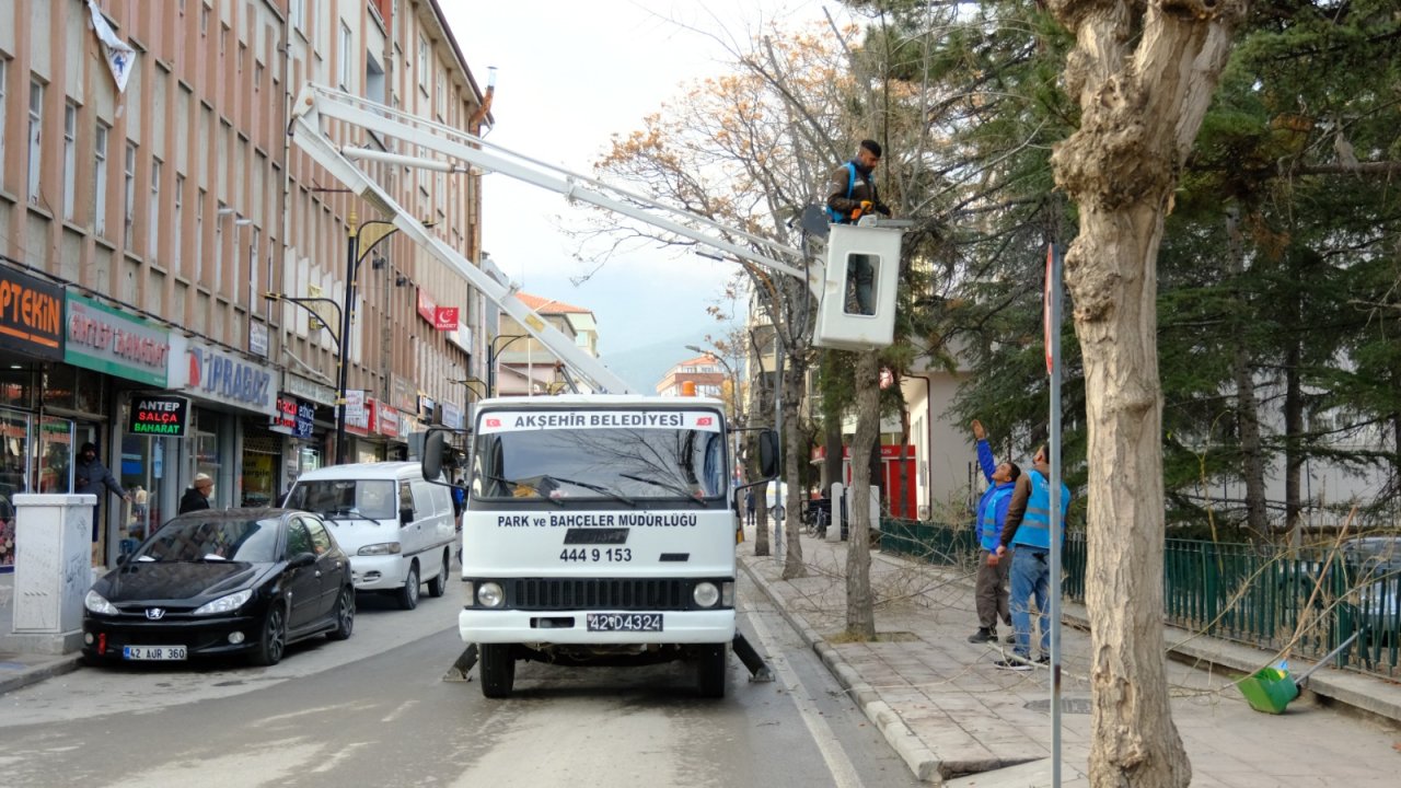 Konya'da mevsimsel budama çalışmaları başladı!