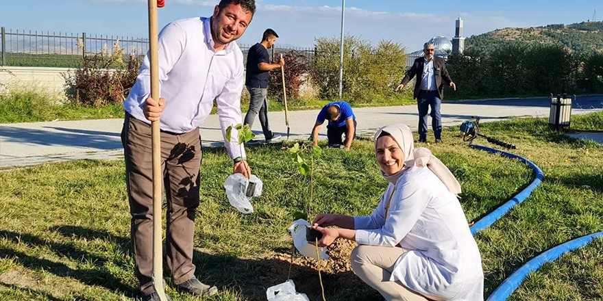 Beyşehir'de fidan dikimi