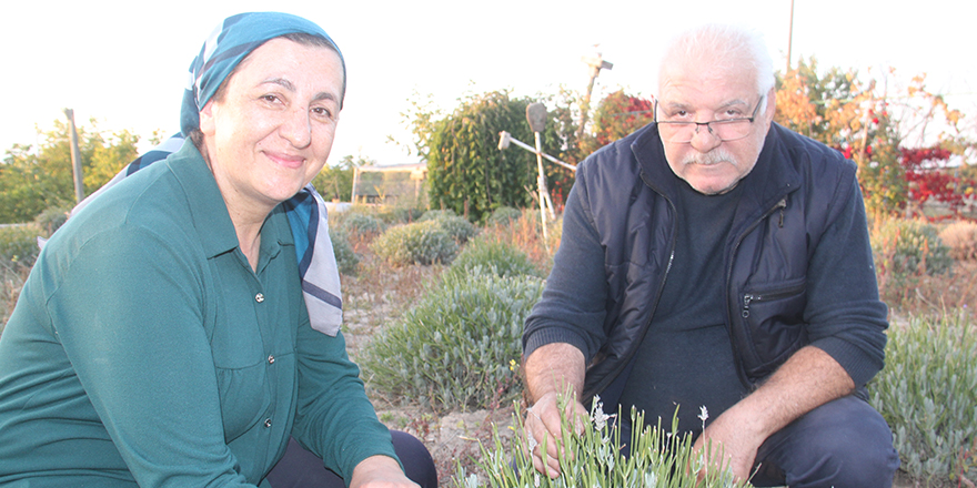 Emekliliğinden sonra ata topraklarına lavanta bahçesi kurdu