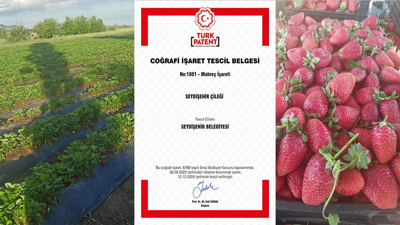 Konya'da Seydişehir Çileği tescillendi!
