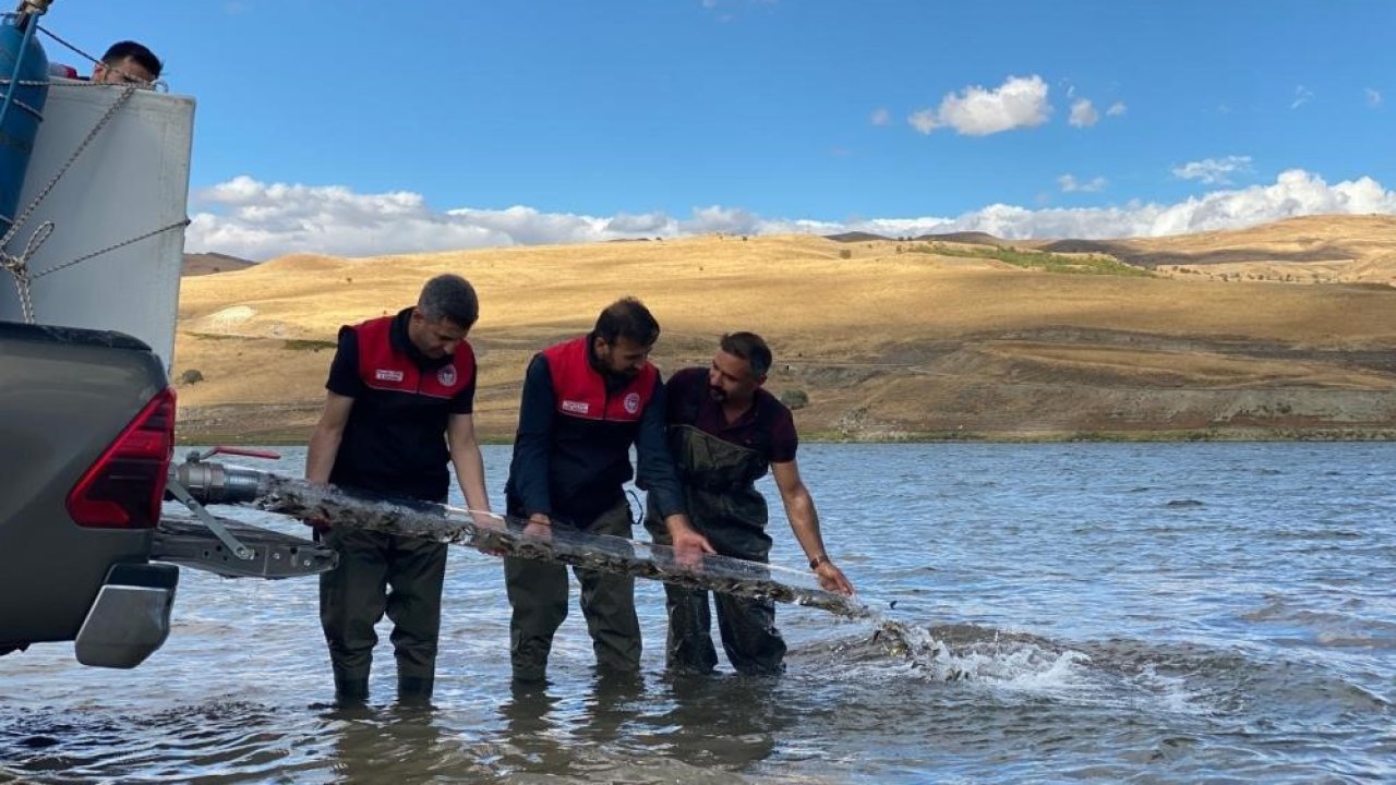 Türkiye nüfusu kadar balık deniz ve göllere bırakıldı!