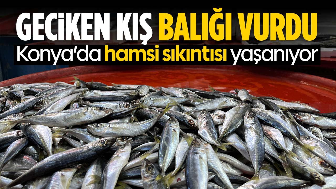 Geciken kış balığı vurdu: Konya'da hamsi sıkıntısı