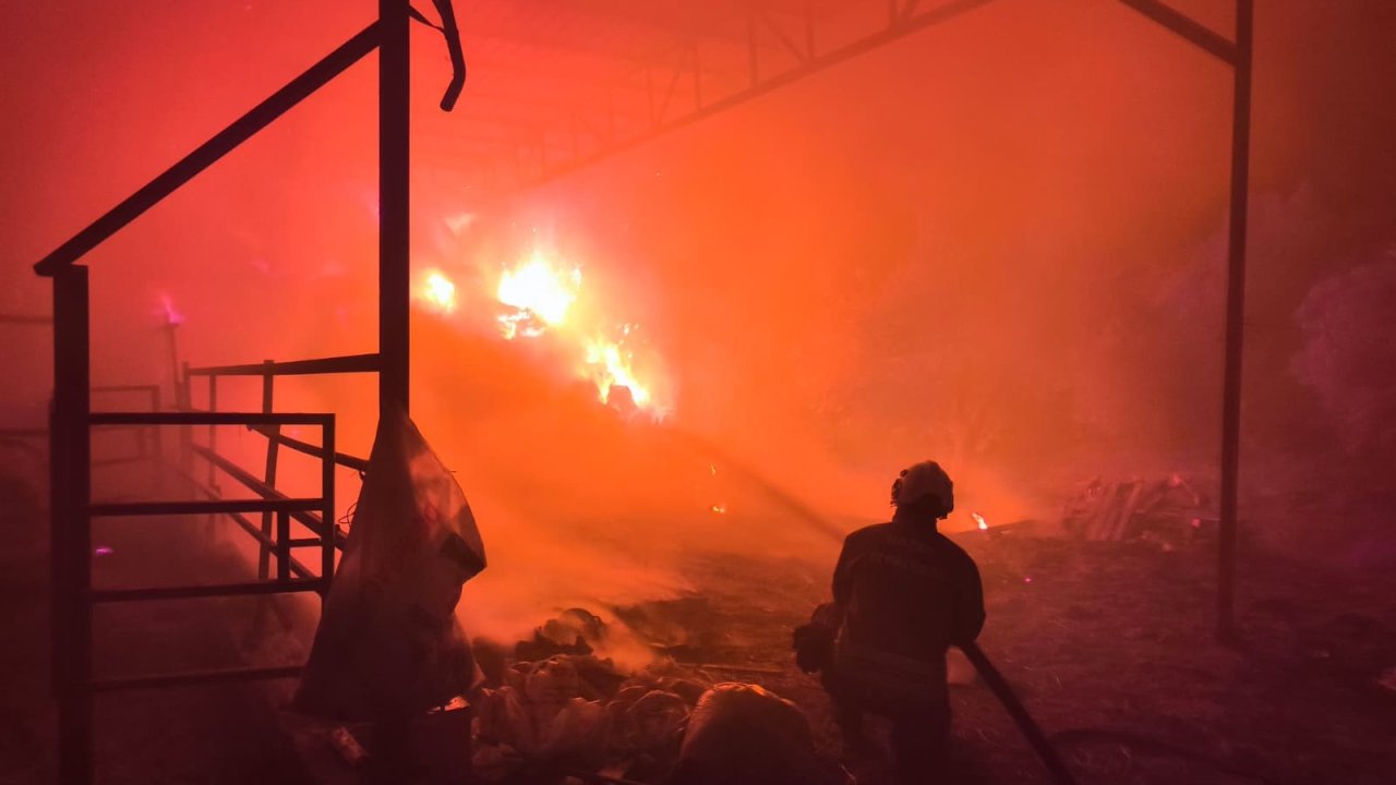 Samanlık alev aldı! Yangın, besihaneye ulaşmadan kontrol altına alındı