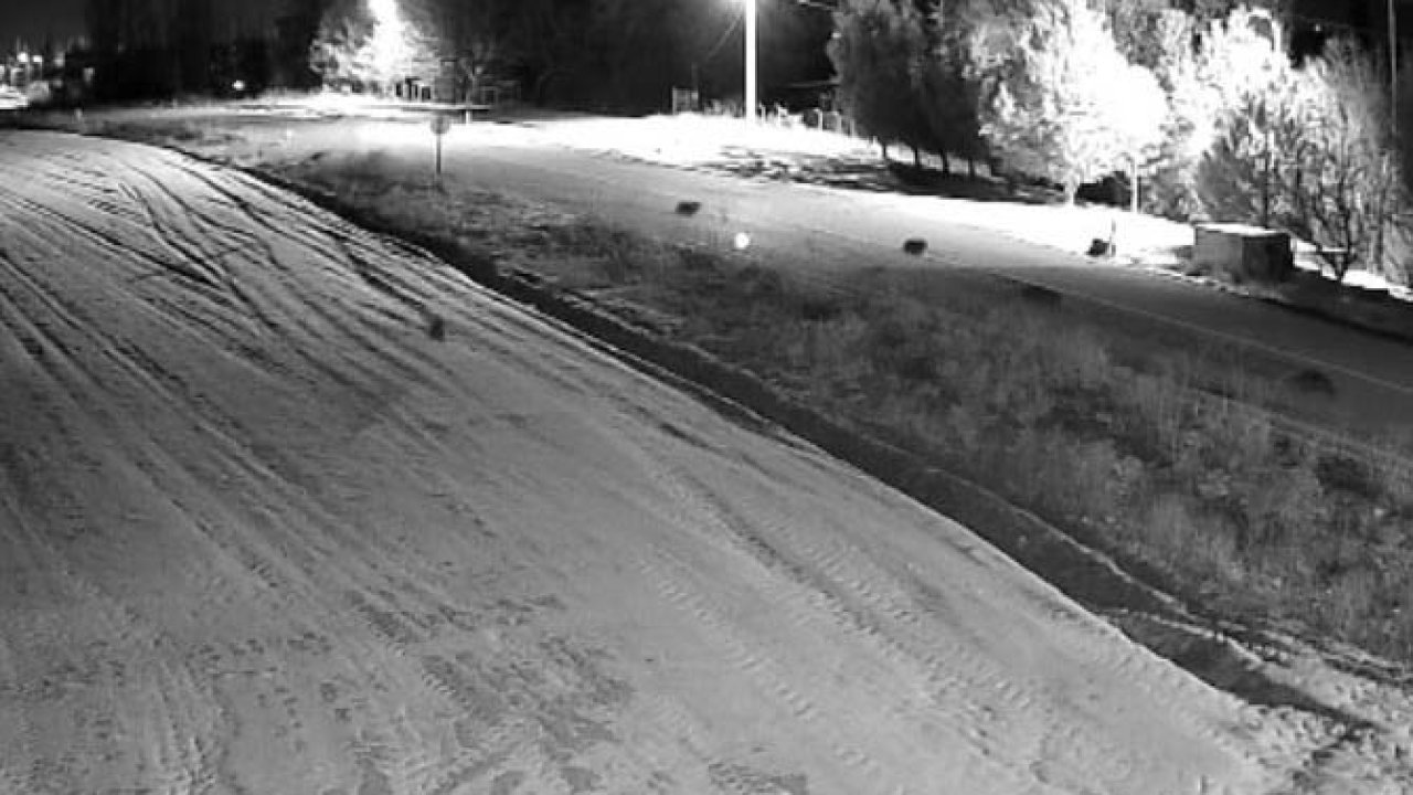 Konya'da doğadan şehre iniş: Kurt sürüsü görüntülendi