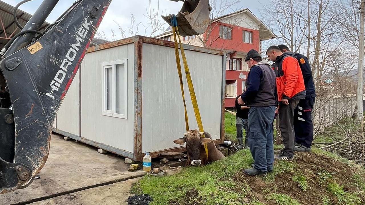 Kuyuya düşen ineğin imdadına itfaiye yetişti