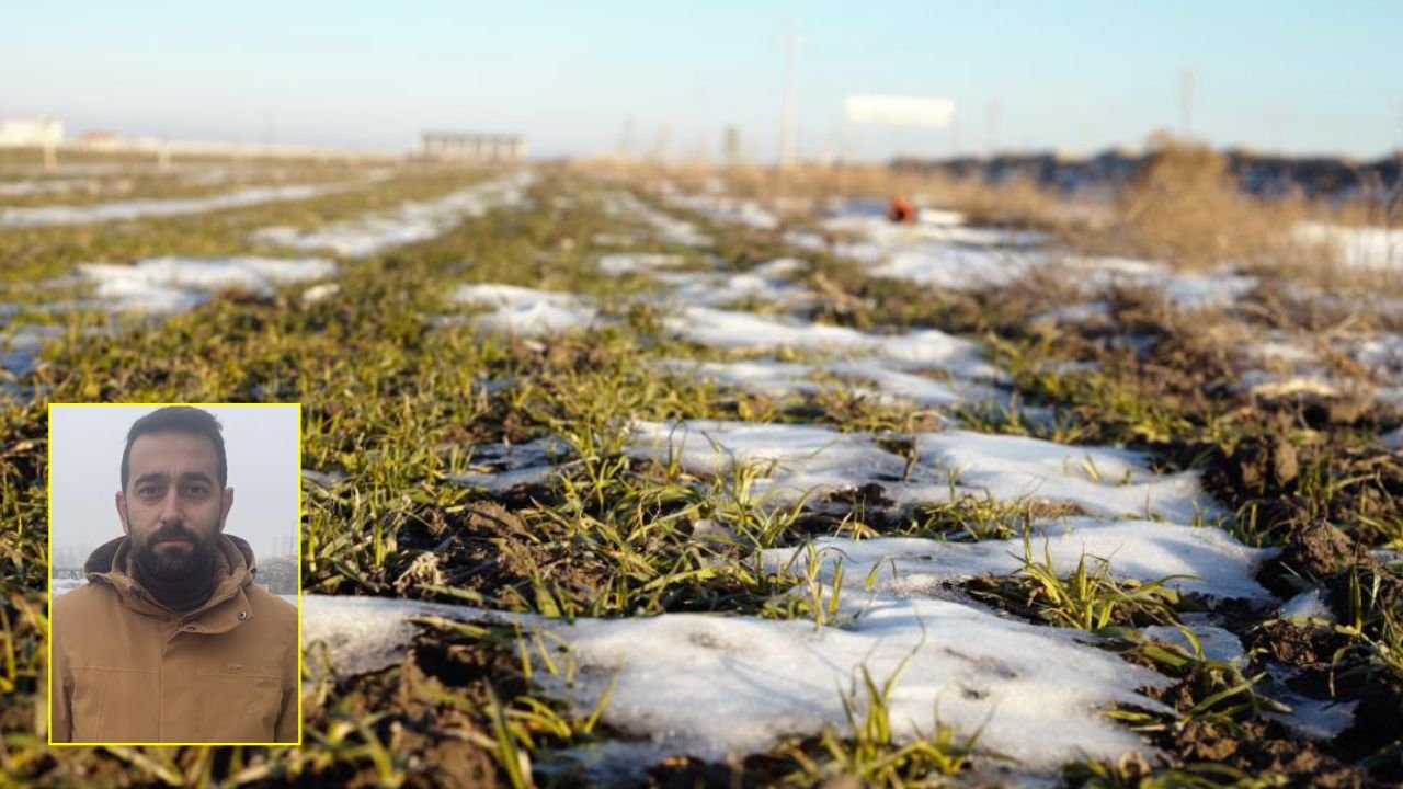 Konya Ovası’nda karsız kış alarmı: Hububat ve seralar risk altında