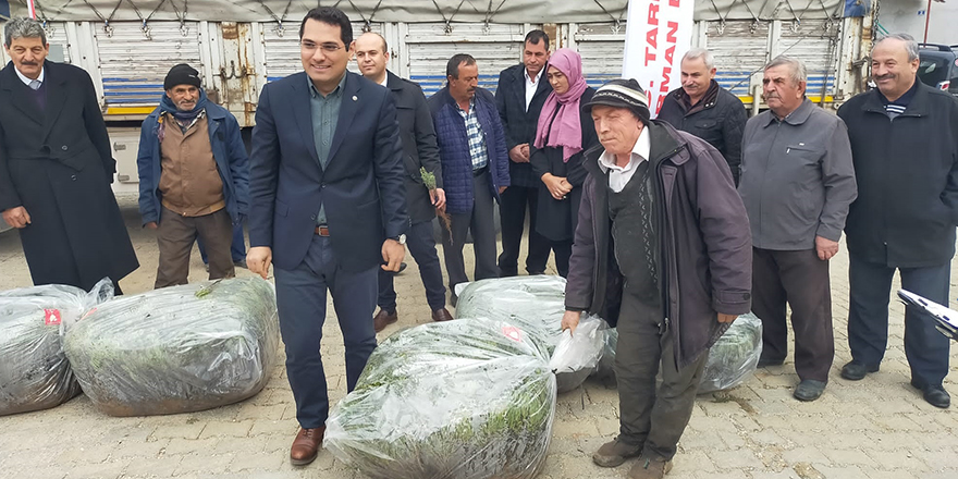 Hüyük'te üreticilere lavanta fidesi dağıtıldı