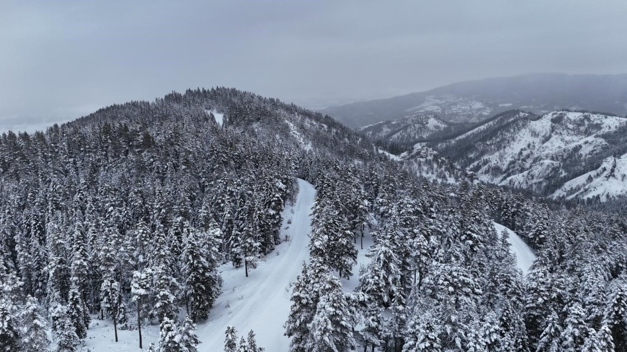 Kastamonu'nun ormanlarında eşsiz kış manzaraları