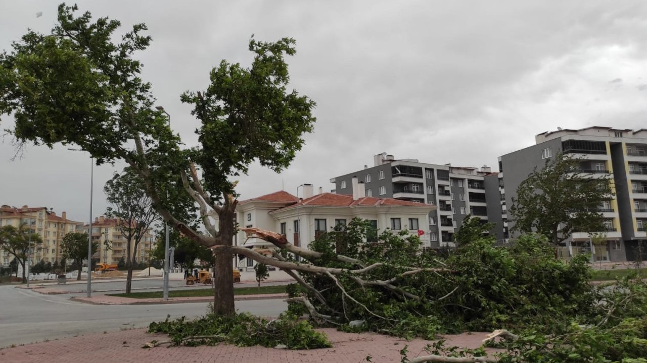 Konya alarmda! Fırtına geliyor: Çatılar uçabilir, ağaçlar devrilebilir