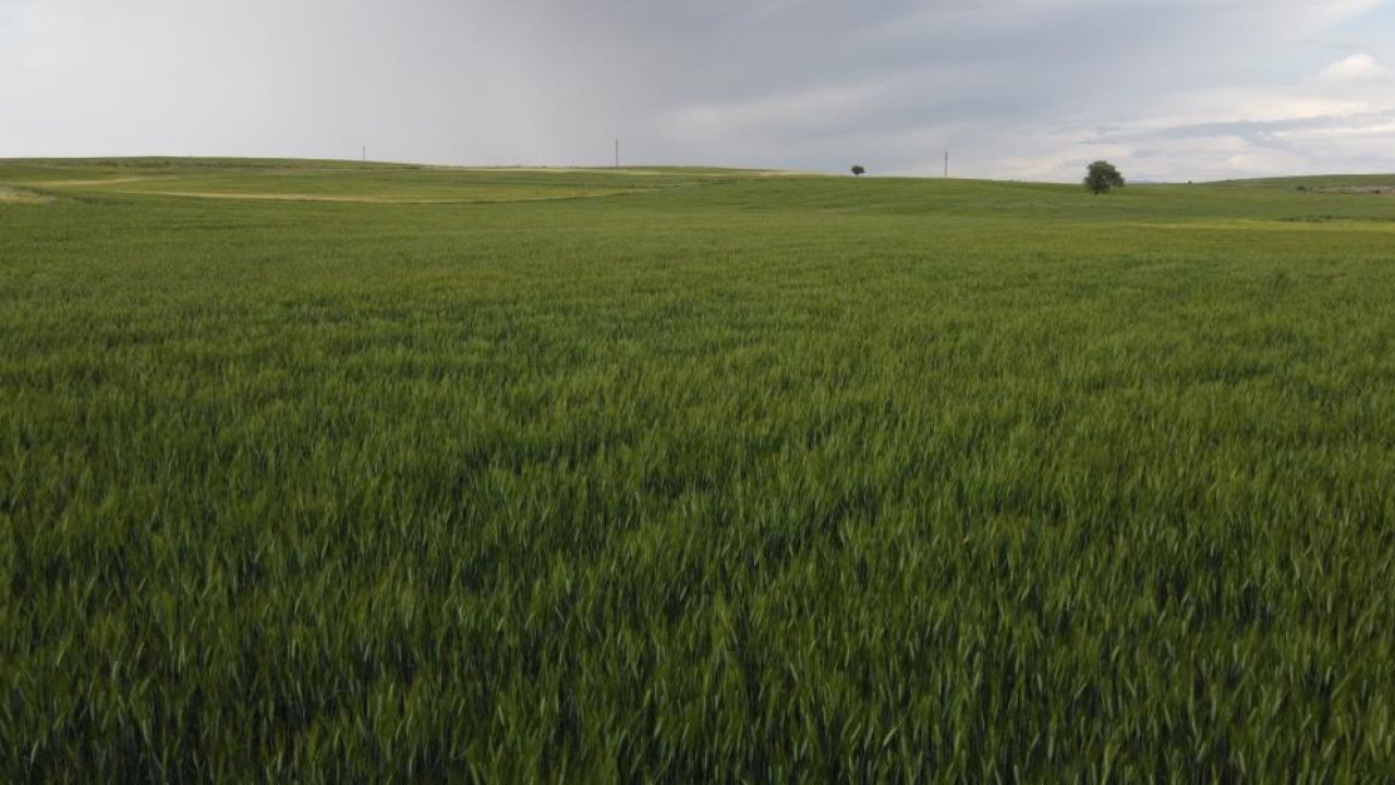 Konya’da yağış rekoru: Yüksek kesimler son 5 günde suya doydu