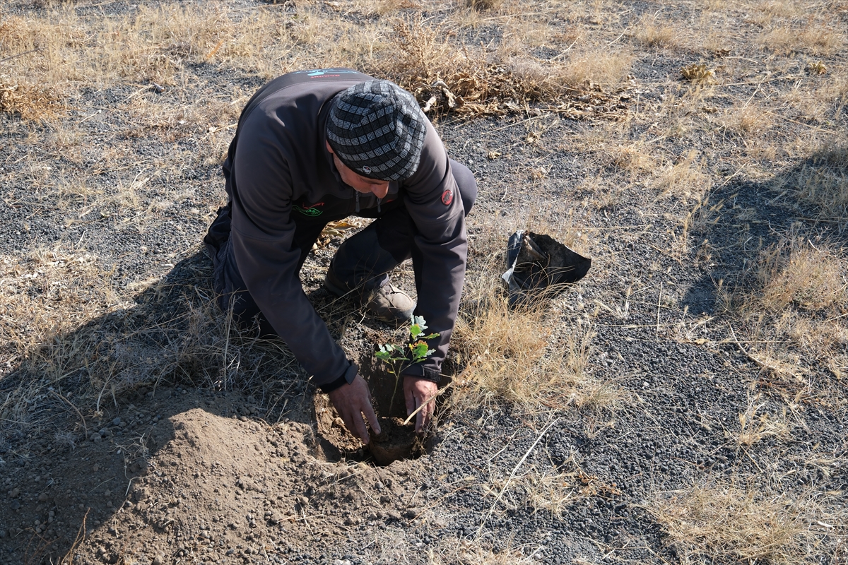 Yamaç paraşütçüleri rüzgar erozyonuna karşı ağaçlandırma yapıyor