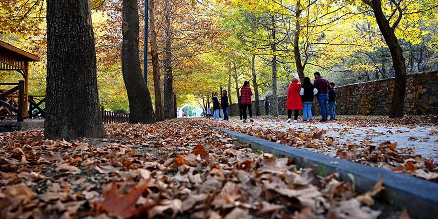 Kuğulu Tabiat Parkında Sonbahar