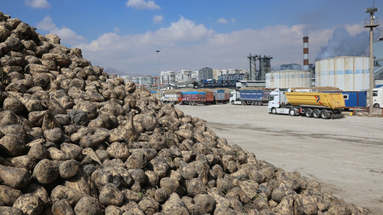 Konya Şeker'den üretici ortalarına dev ödeme! 12 Milyar lirayı aştı