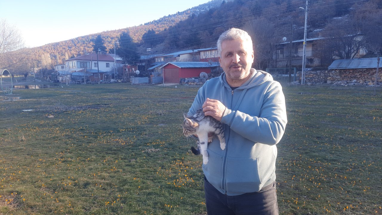 Konya’da yürek ısıtan olay! Aç kediler için 30 kilometre yol gitti!