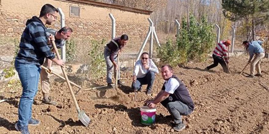 Hüyük'te öğretmenler boş araziye ceviz ve badem fidanı ekti