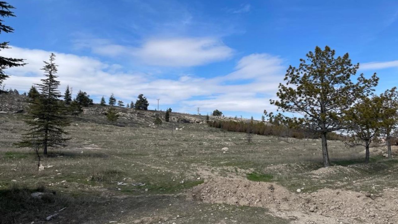Konya’da kaçak kazı operasyonu! Suçüstü yakalandılar!