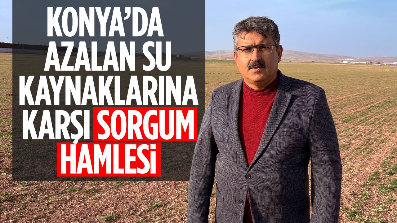 Konya'da azalan su kaynaklarına karşı sorgum hamlesi