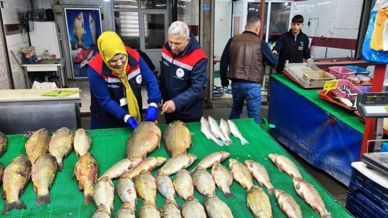 Beyşehir Gölü’nde avcılık denetimi: Ekipler sahada!