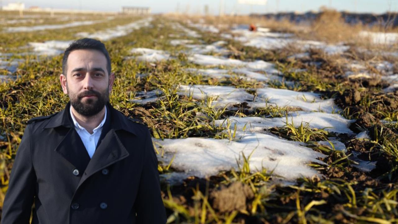 Konya’da yağış sevinci! Kar ve yağmur hububata can suyu oldu, uzmanlardan kritik gübre uyarısı