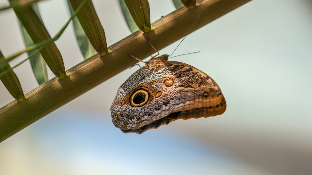 Selçuklu Belediyesi Ramazan Bayramı'na Hazır