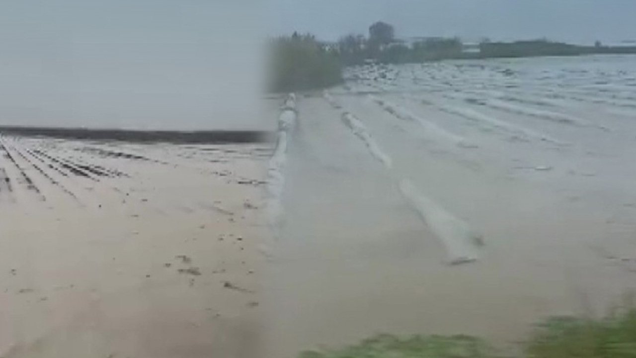 Adana'da sağanak hayatı felç etti: Yollar ve tarlalar göle döndü