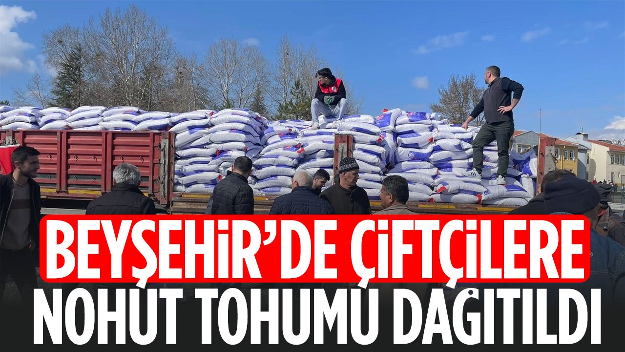 Konya'da çiftçilere dağıtıldı! Beyşehir’de Atıl Araziler Nohutla Hayat Buluyor