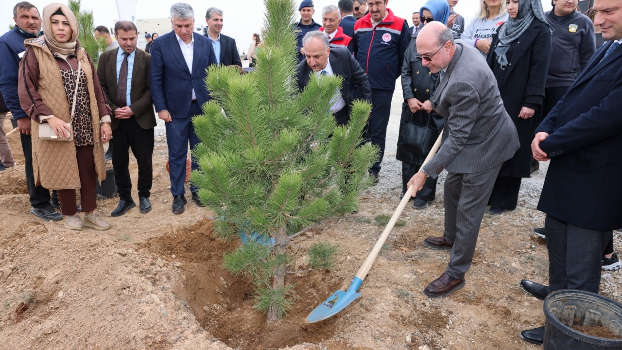 Selçuklu'da Karbon Yutak Alanı Projesi Kapsamında Binlerce Fidan Toprakla Buluştu