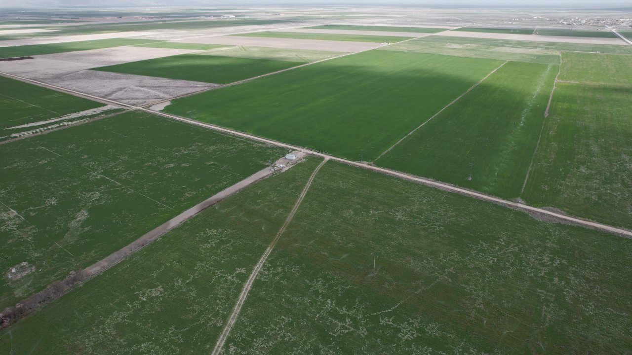 Konya Ovası’nda yağış bereketi! Rekolte beklentisi yükseldi!