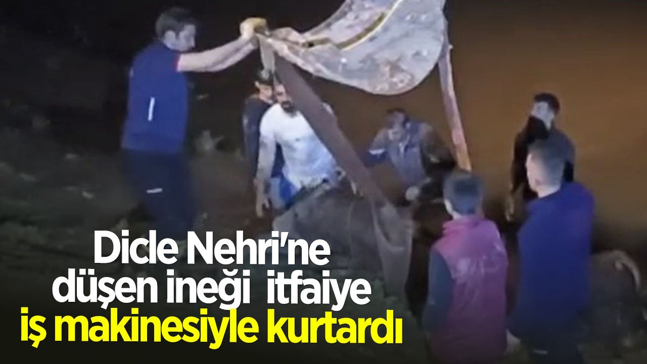 Nehre düşen ineği itfaiye, iş makinesiyle kurtardı