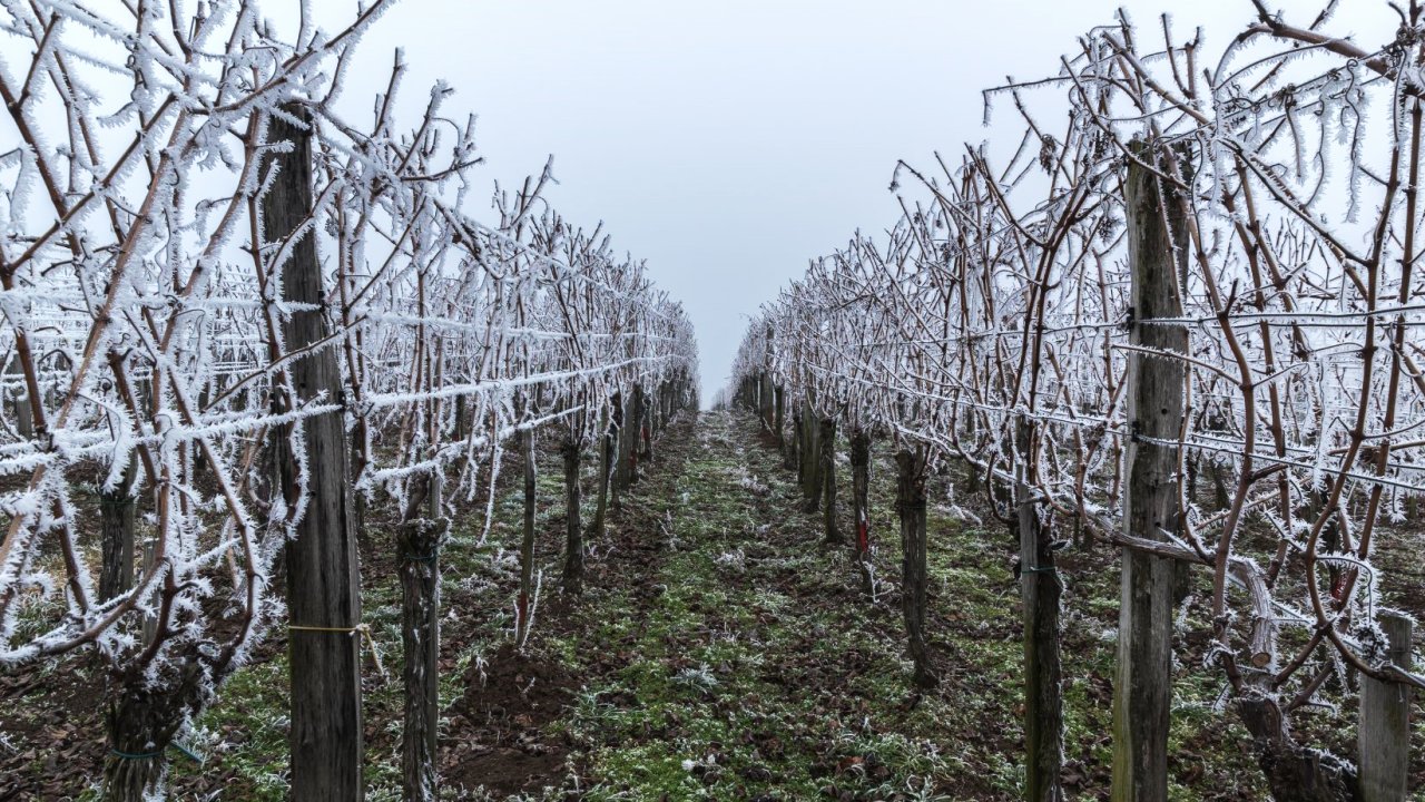 Konya’da alarm zilleri çalıyor! Zirai don uyarısı: Üreticiler dikkat, kritik günler başlıyor