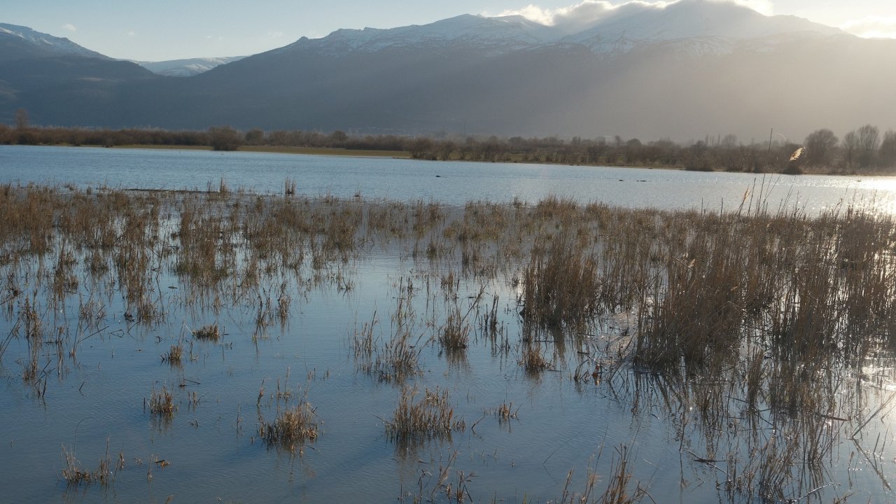 Konya’da yıllar sonra bir İlk! Akşehir Gölü yeniden canlandı, seviyesi rekor noktaya ulaştı!