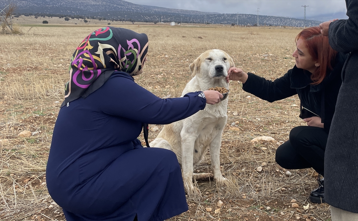 Başkan Altay "Olayın münferit olduğuna inanıyorum"