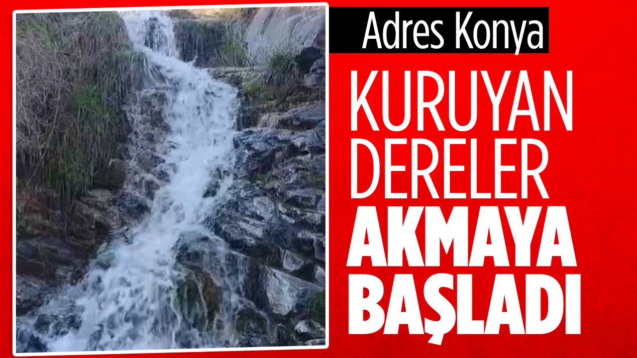 Konya'da bereket: Yıllardır akmayan dereler akmaya başladı