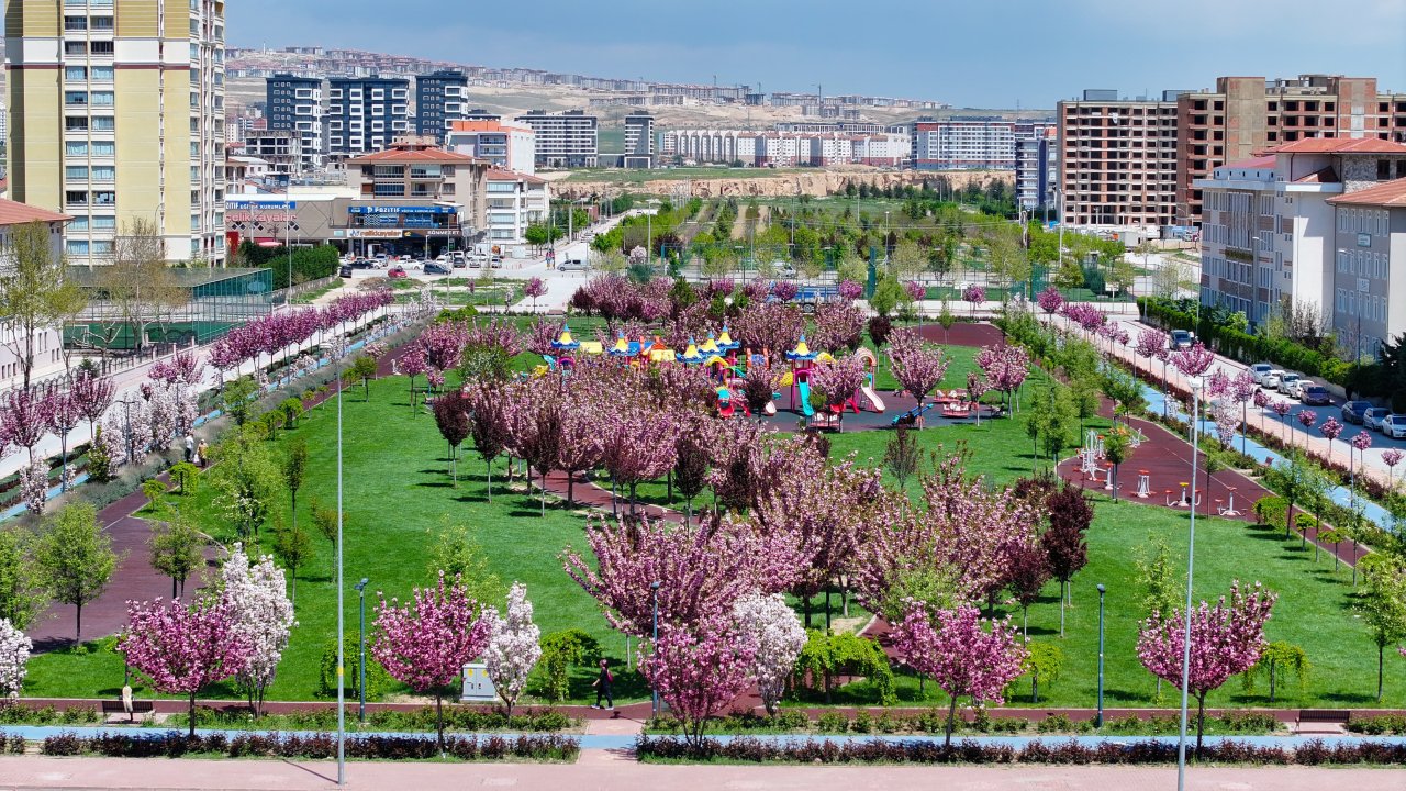 Konya’da Sakura sürprizi! Japonya’yı aratmayan bahar manzarası başladı!