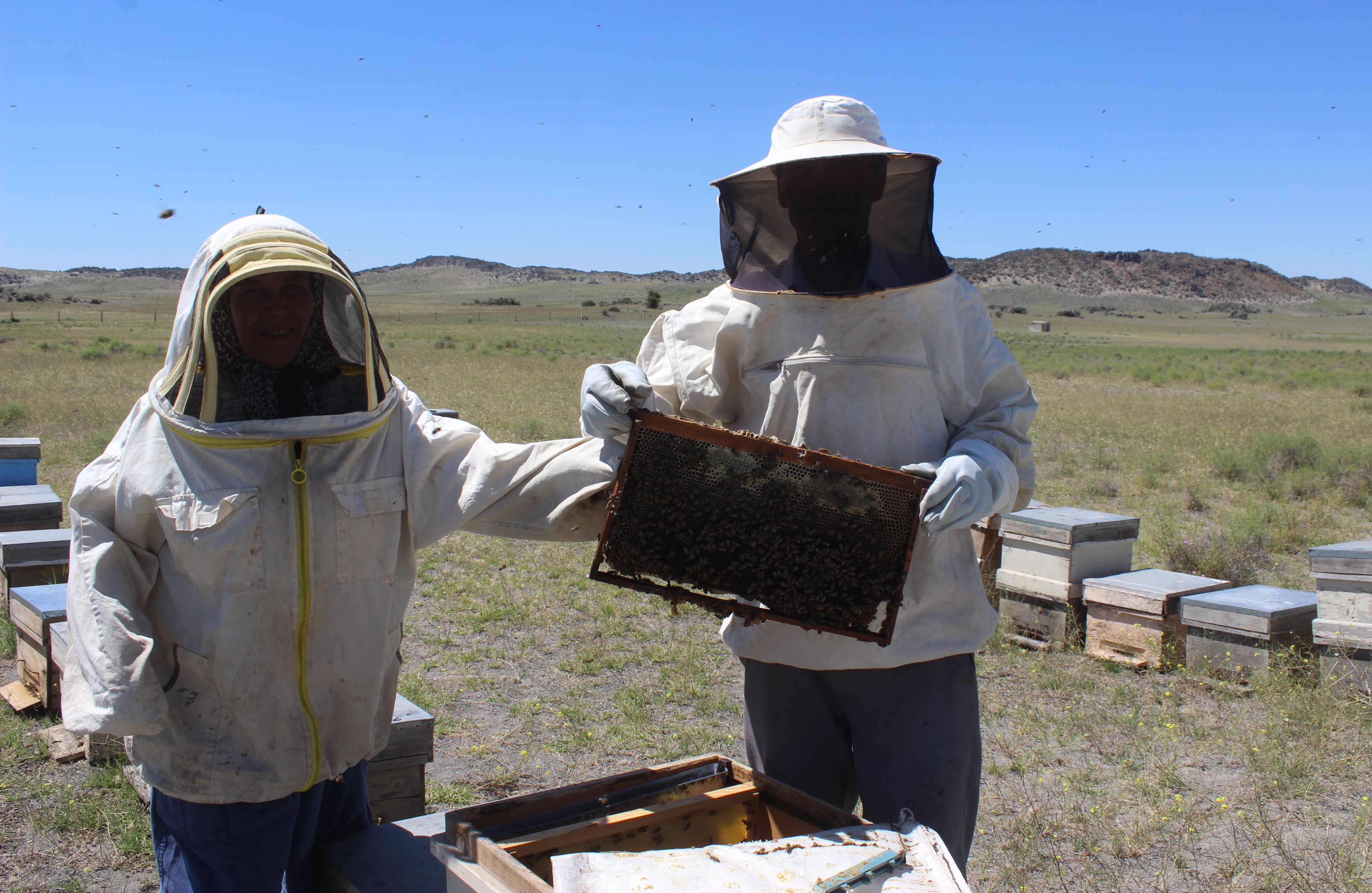 Bilici Çifti 29 Yıldır "bal mesaisi" Yapıyor