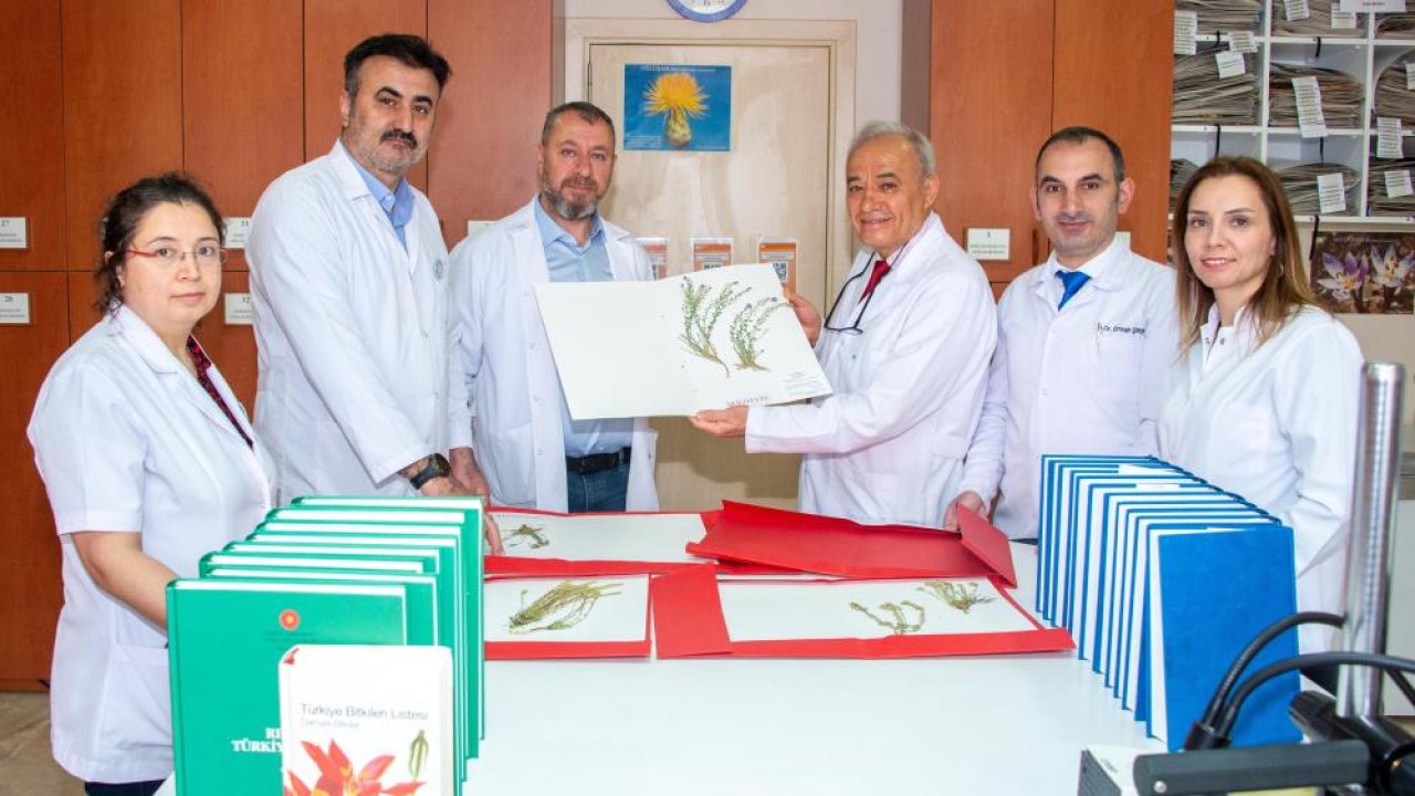 Toroslar’da şaşırtan Keşif! Selçuk Üniversitesi 4 yeni bitki türünü bilime kazandırdı