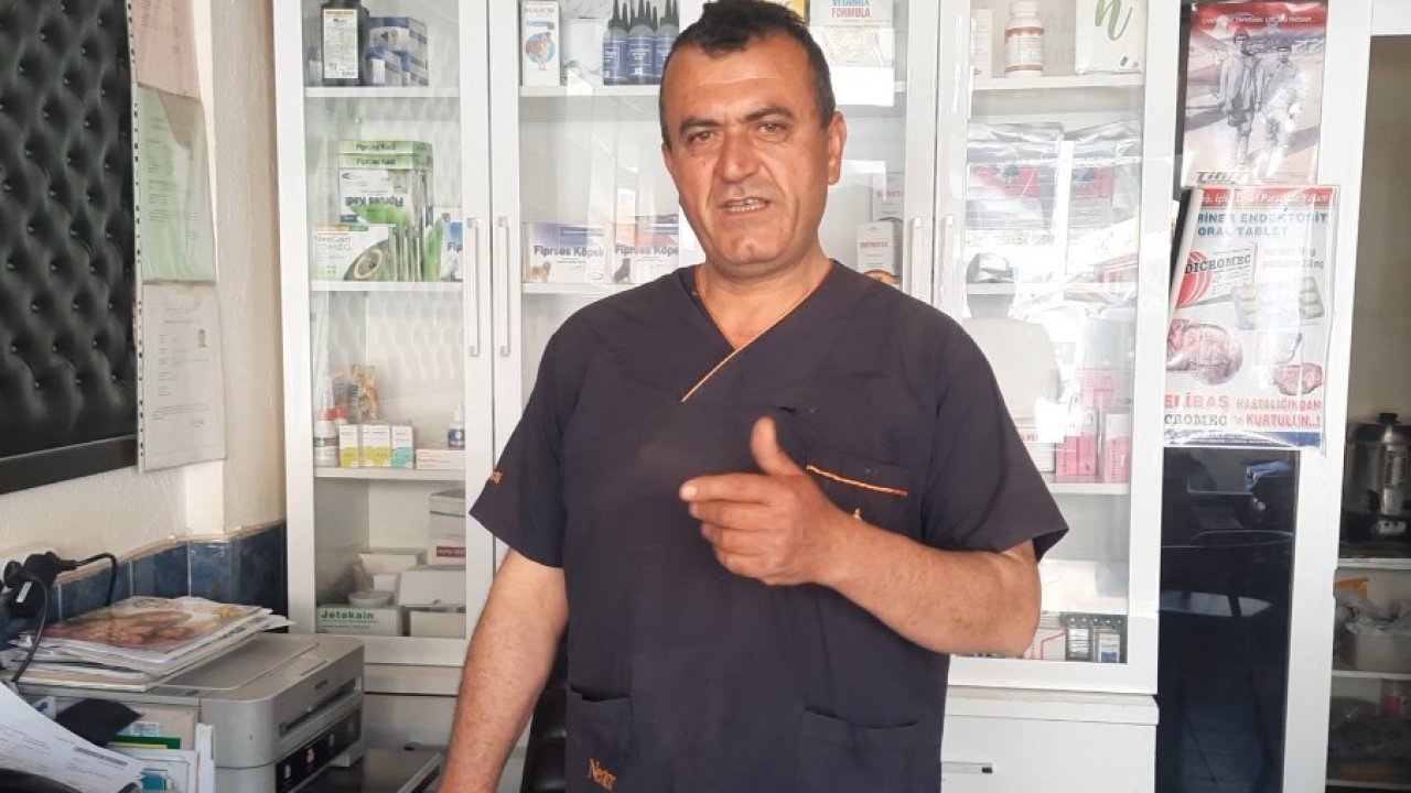 Konya’da veteriner hekim kurdu böyle çağırdı: “Gel oğlum!”