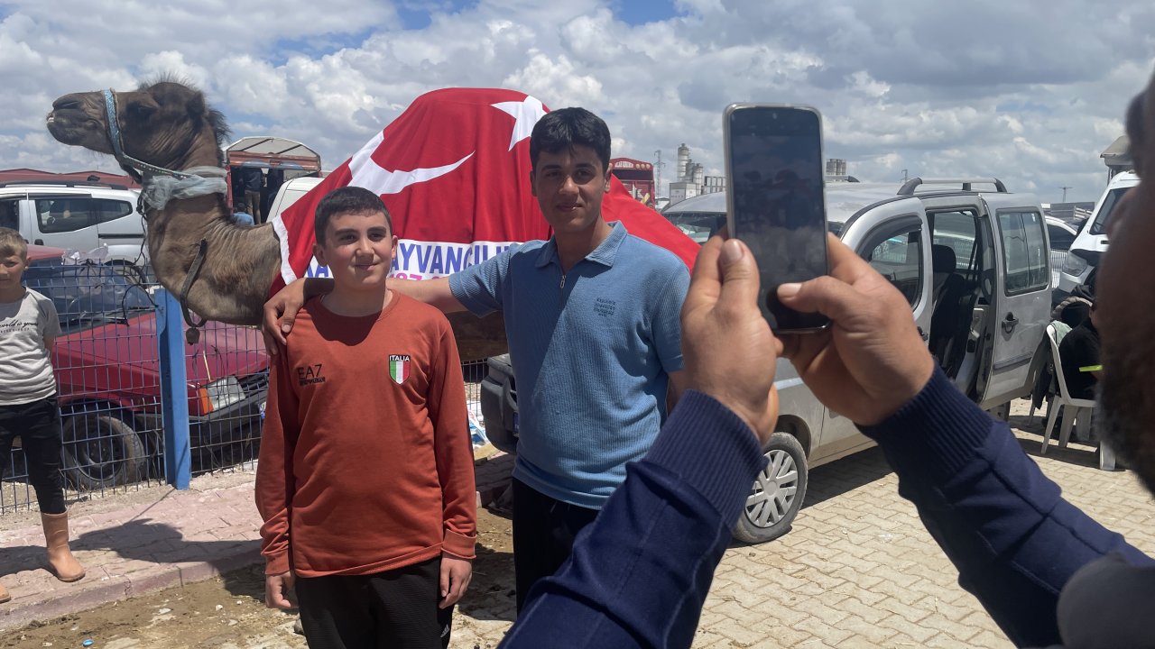 Konya’da kurban pazarının yıldızı! 780 kiloluk deve 330 bin TL’ye alıcı buldu!