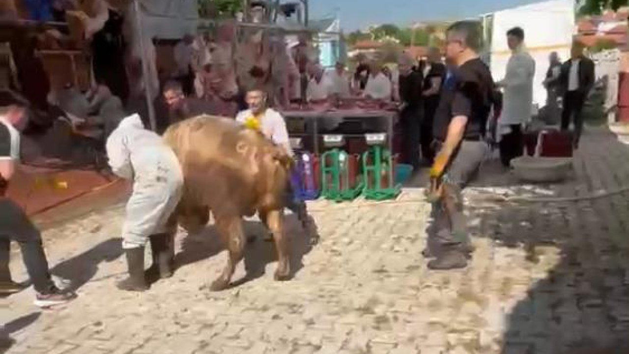 Kütahya’da nefes kesen anlar! Kaçan tosun görevliyi yere serdi