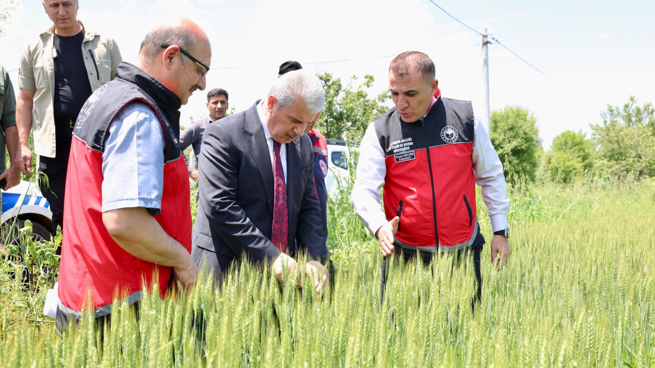 Vali İbrahim Akın Akşehir’de sel ve dolu felaketinin izlerini yerinde inceledi!